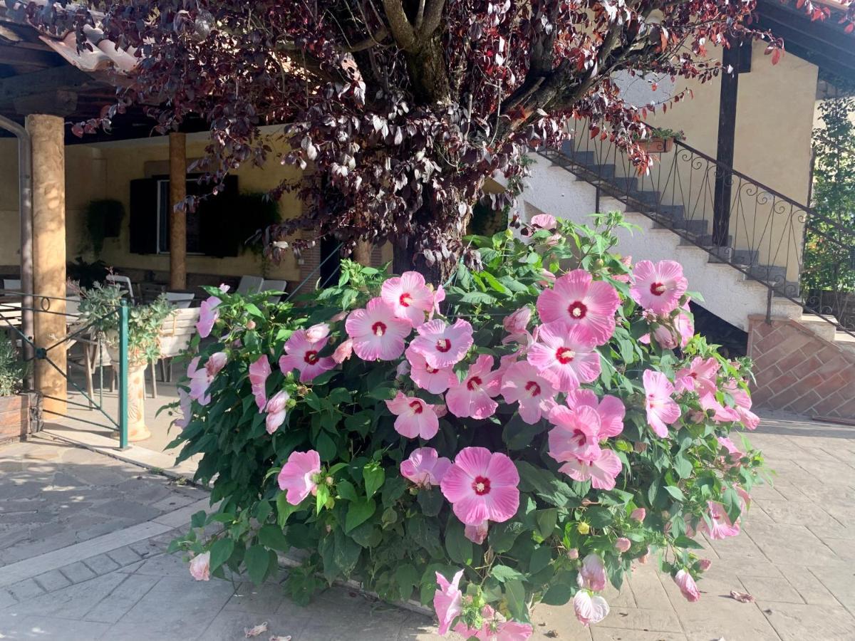 Residenza Cerci Hotel Valmontone Eksteriør billede